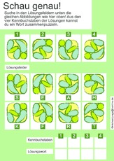 08-05 d schau genau.pdf